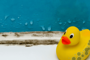 Embryo Adoption Services of Cedar Park August '25 Newsletter